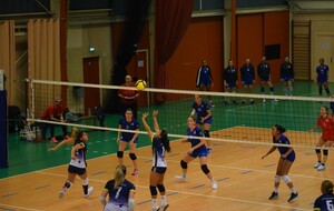 68dae5c9423ae_DSC0013.jpg