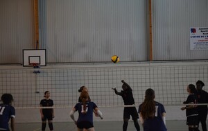 6ade51642ebf0_DSC0003.jpg