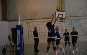 6ade516486791_DSC0004.jpg