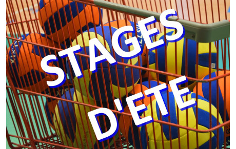 Stages d'été du 8 au 10 juillet 2024